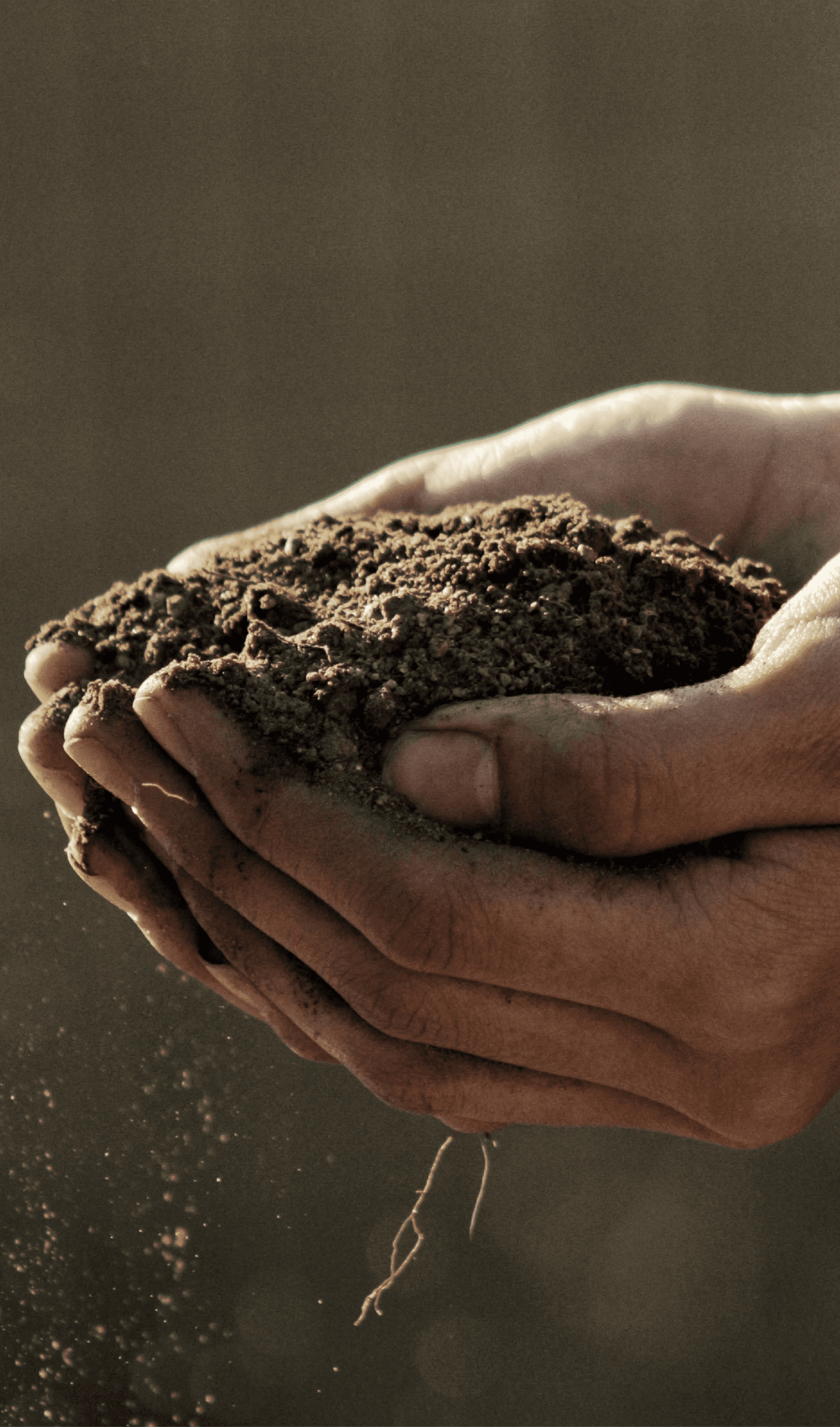 더루트컴퍼니 브랜드 디자인 - 7