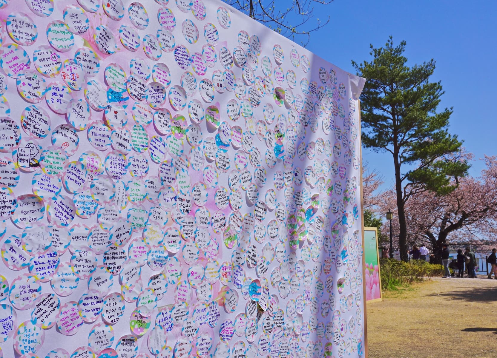 2019 강릉벚꽃잔치 경포대 - 2