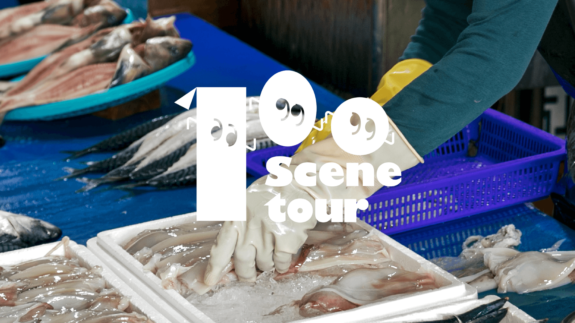 100 Scene Tour 강원 테마관광 브랜드 디자인 - 1