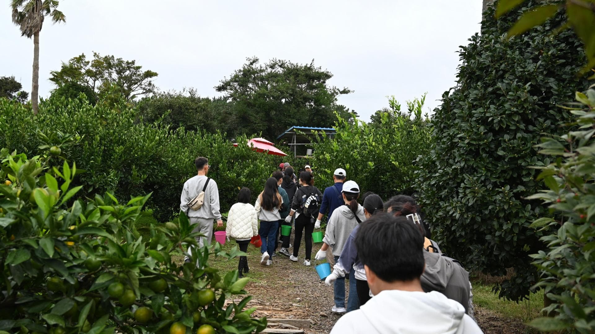 강릉시 드림 스타트 가족 행복 충전 여행 프로그램 - 7