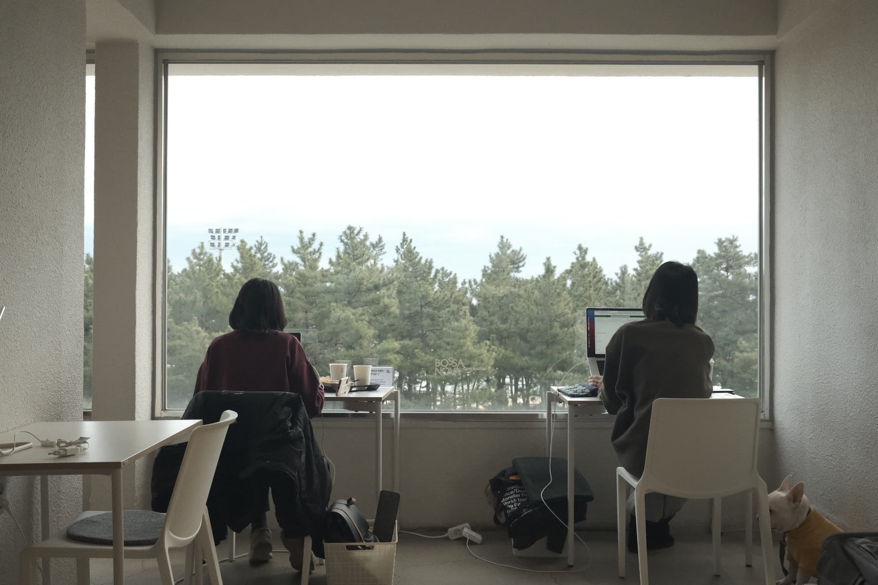 2022년 산으로 출근, 바다로 퇴근 - 6