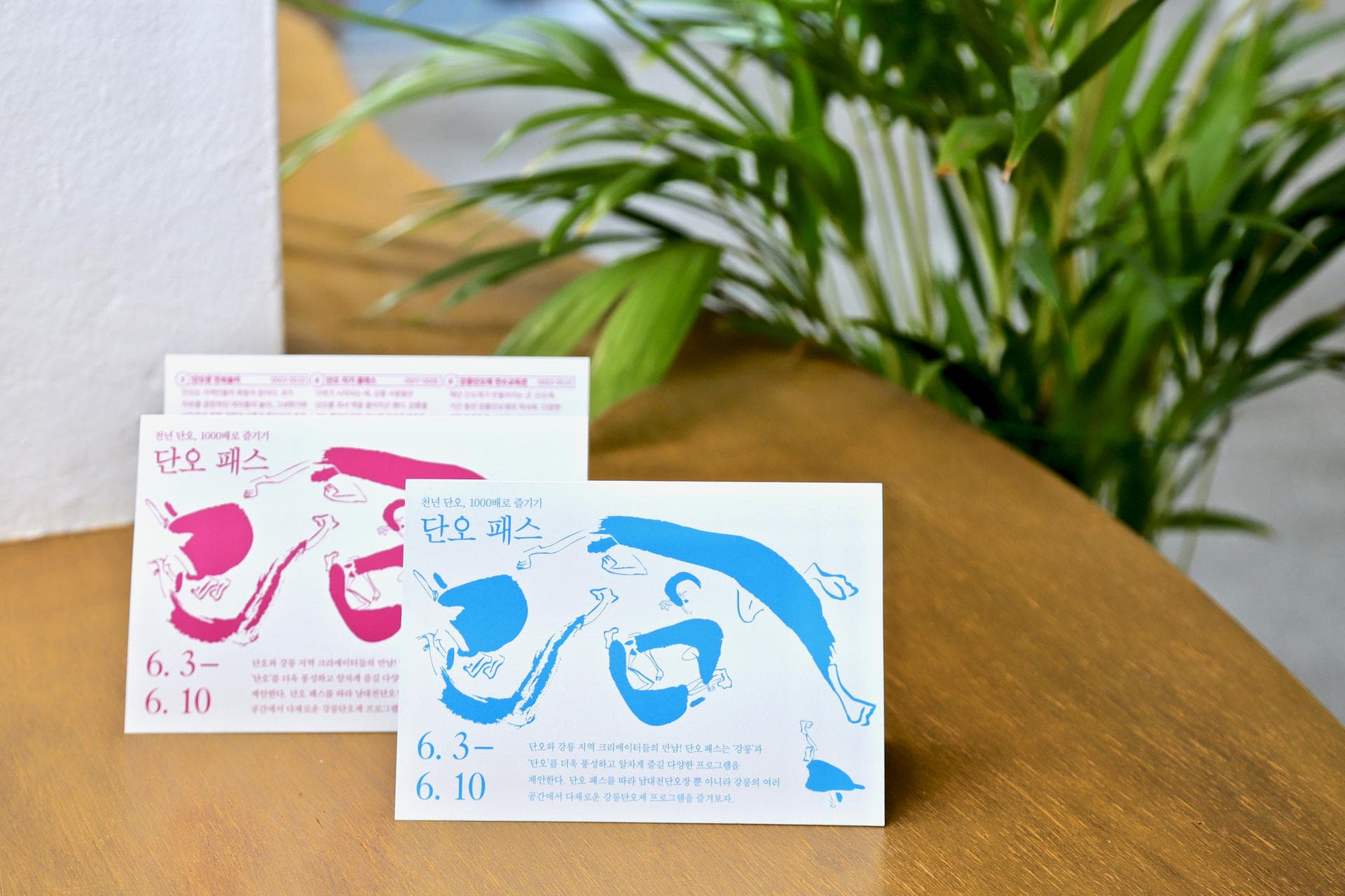 2019 강릉단오제 단오패스 - 2