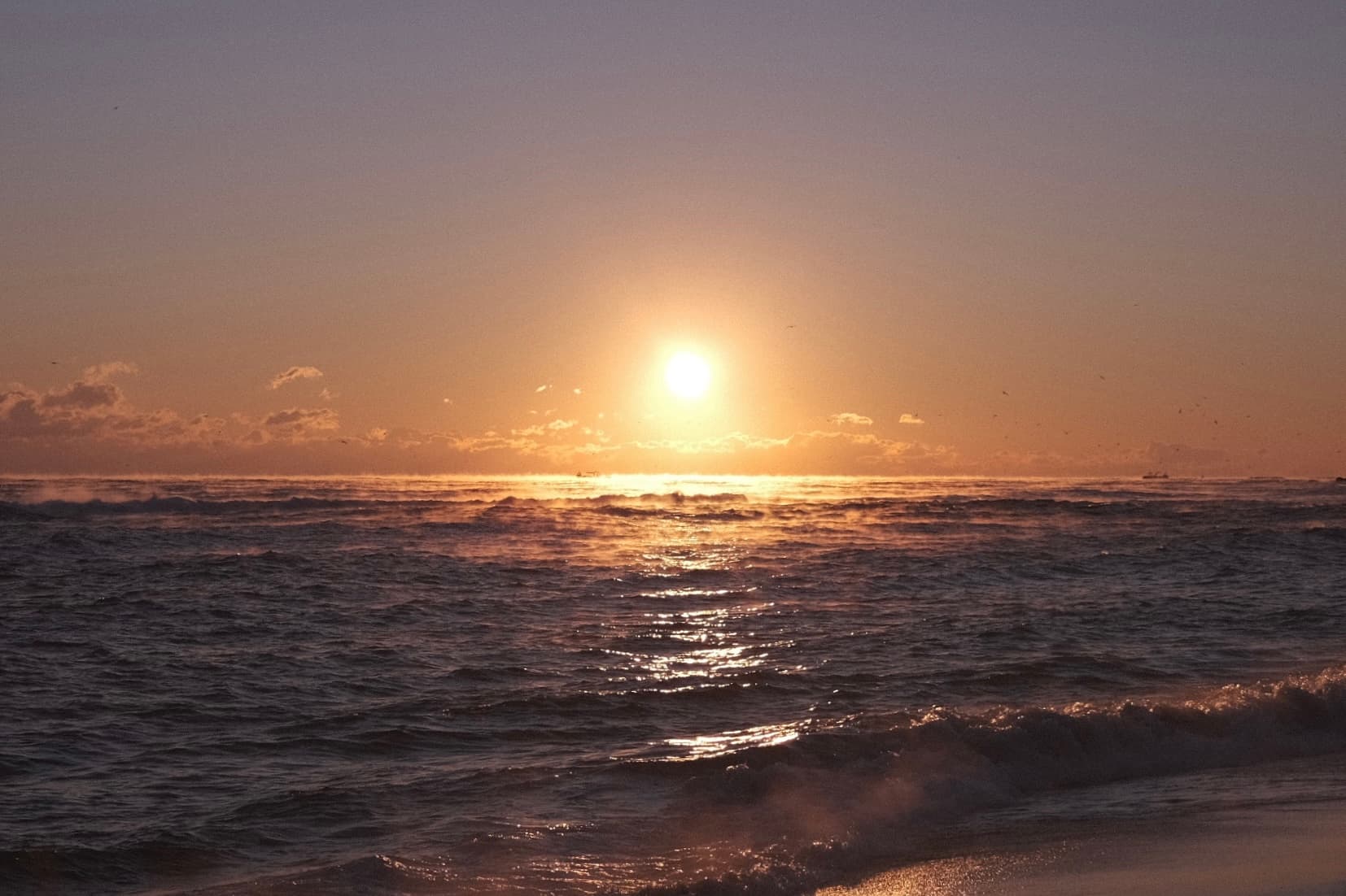 2022년 산으로 출근, 바다로 퇴근