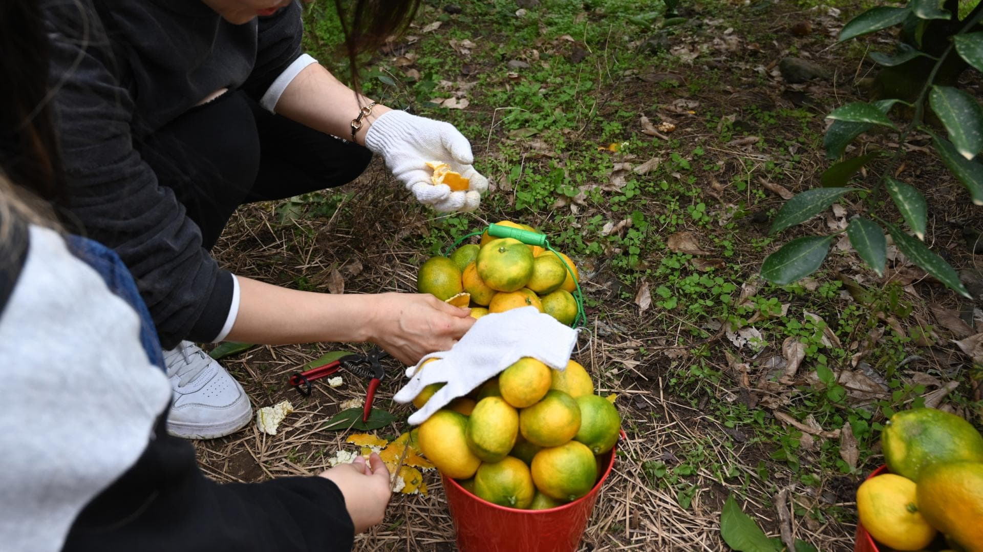 강릉시 드림 스타트 가족 행복 충전 여행 프로그램 - 9